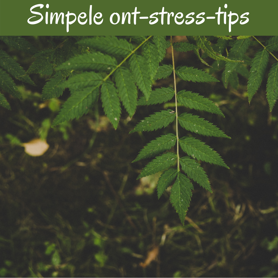 tips bij stress
