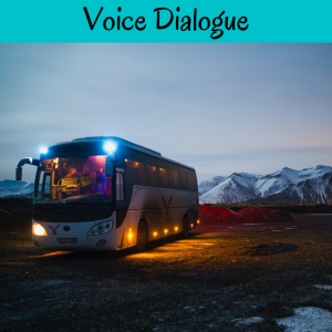 voice dialogue