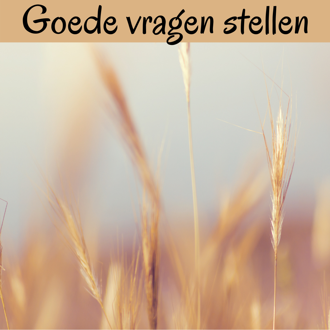 goede vragen